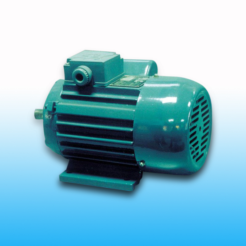 YY系列電容運(yùn)轉(zhuǎn)異步電機(jī)
