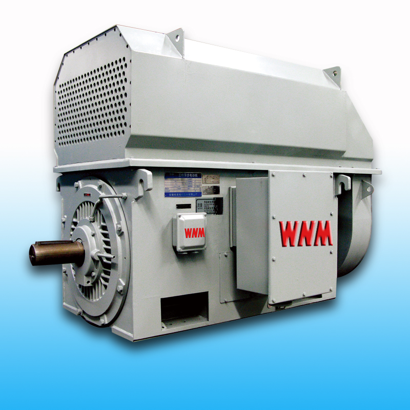 Y、YKS、YKK系列大型電機(jī)（6KV/10KV）