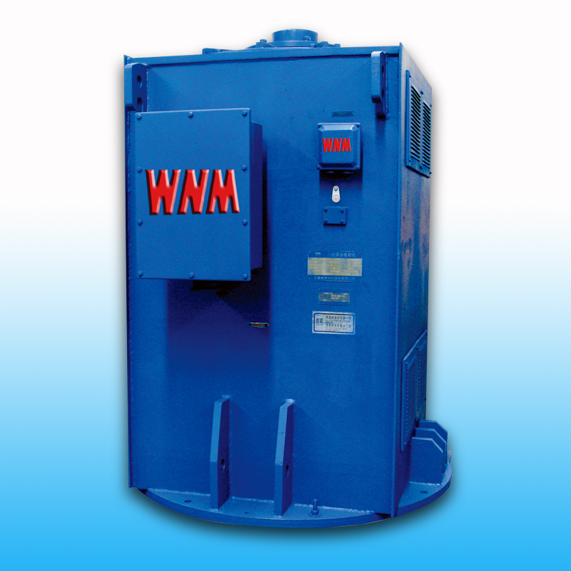 YL、YLKK系列立式電機(jī)（6KV/10KV）