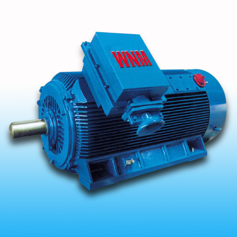 YMZ系列美卓專(zhuān)用電機(jī)（6KV/10KV）